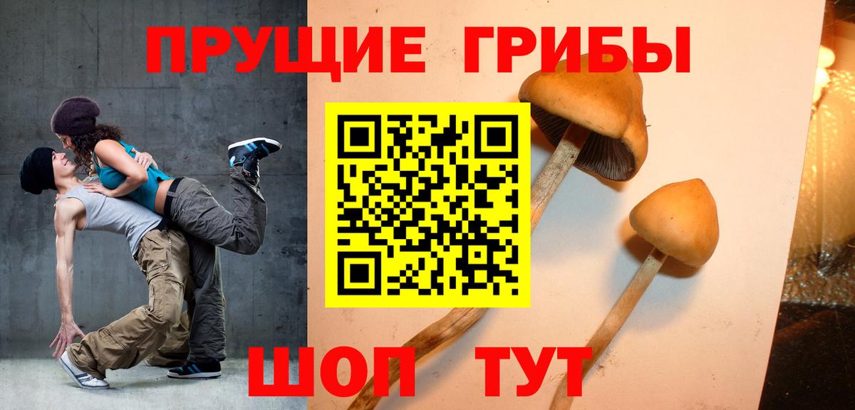 Заводоуковск  дарнет шоп  Вход с VPN  Галлюциногенные грибы GOLDEN TEACHER 