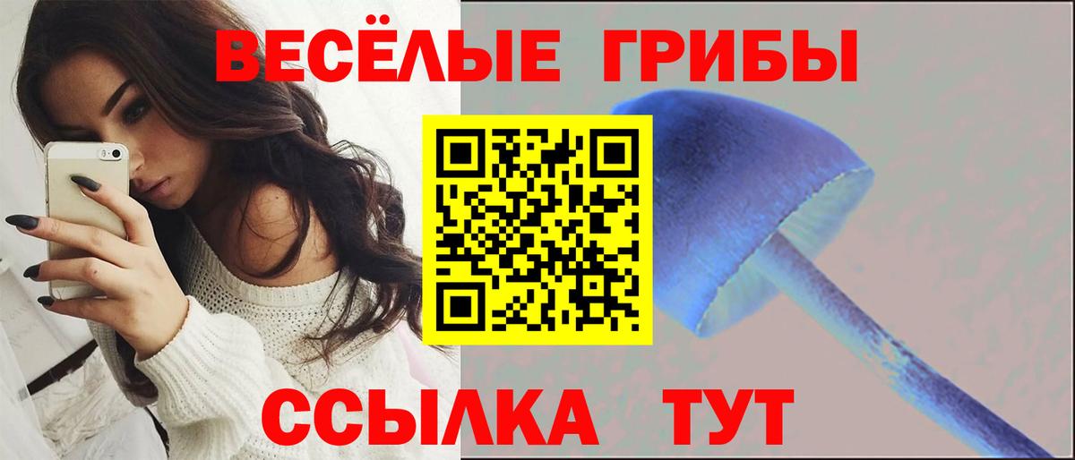 Галлюциногенные грибы ЛСД Заводоуковск