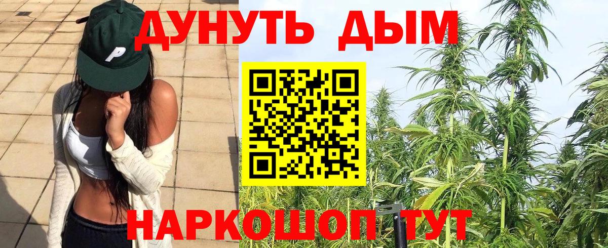Бошки Шишки семена  Канабис семена  Вход с VPN  МАРИХУАНА план  Заводоуковск 